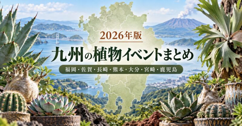 2026年版 九州の植物イベントまとめ 福岡・佐賀・長崎・熊本・大分・宮崎・鹿児島