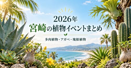 2026年 宮崎の植物イベントまとめ 多肉植物・アガベ・塊根植物