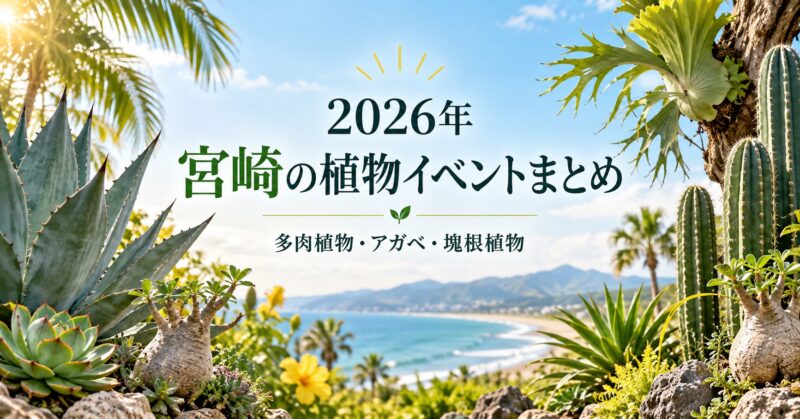 2026年 宮崎の植物イベントまとめ 多肉植物・アガベ・塊根植物