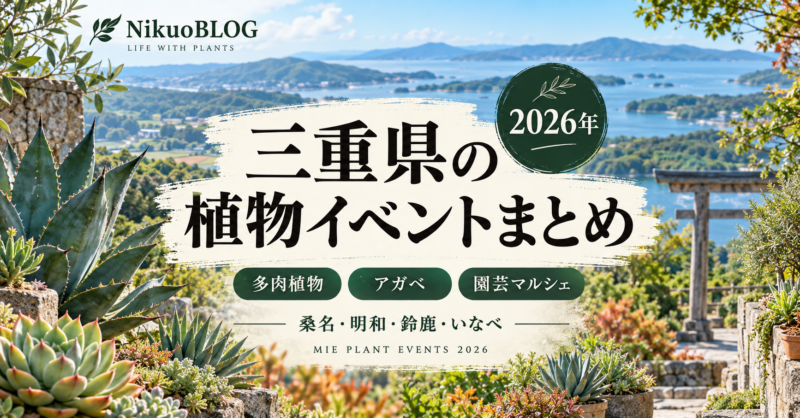 2026年 三重県の植物イベントまとめ 多肉植物・アガベ・園芸マルシェ