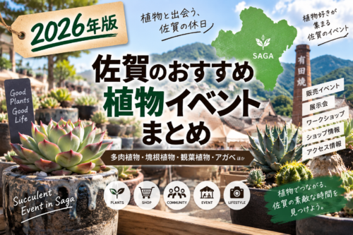 2026年 佐賀の植物イベントまとめ 多肉植物・アガベ・塊根植物