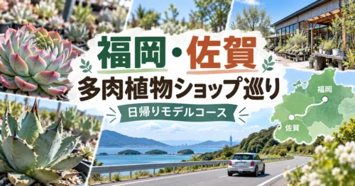 福岡・佐賀の多肉植物ショップ巡り日帰りモデルコース