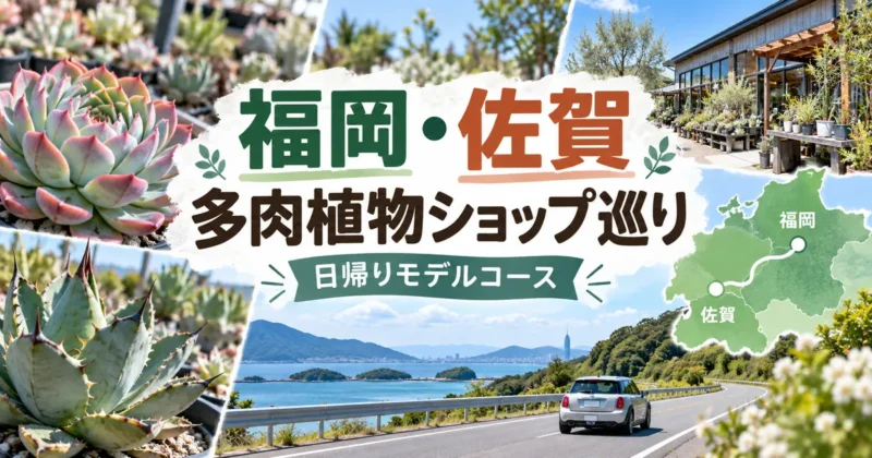 福岡・佐賀の多肉植物ショップ巡り日帰りモデルコース