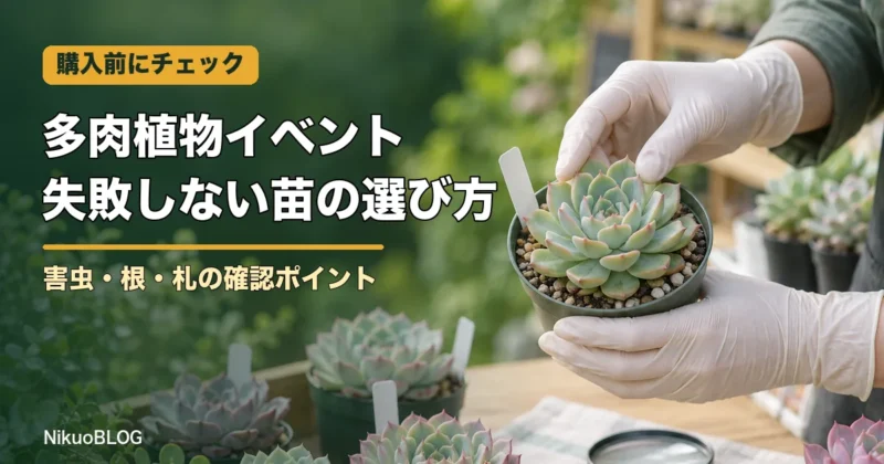 多肉植物イベントで失敗しない苗の選び方 害虫・根・札の確認ポイント