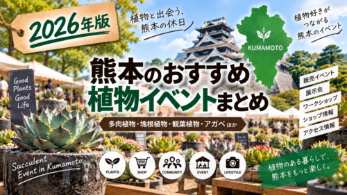 2026年 熊本の植物イベントまとめ 多肉植物・アガベ・塊根植物