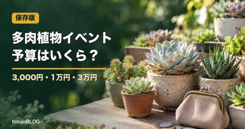 多肉植物イベントの予算 3,000円・1万円・3万円で買えるもの