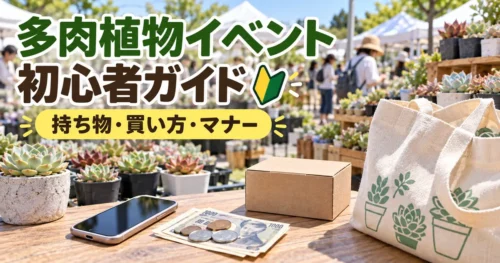 多肉植物イベント初心者向けの持ち物・買い方・マナー
