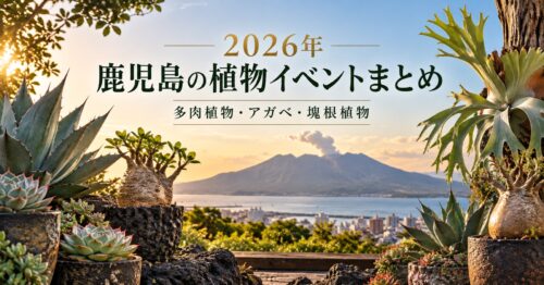 2026年 鹿児島の植物イベントまとめ 多肉植物・アガベ・塊根植物