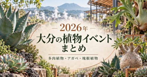 2026年 大分の植物イベントまとめ 多肉植物・アガベ・塊根植物