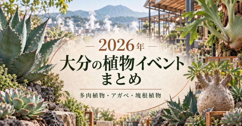 2026年 大分の植物イベントまとめ 多肉植物・アガベ・塊根植物