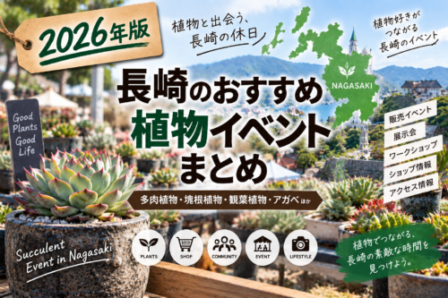 2026年 長崎の植物イベントまとめ 多肉植物・アガベ・塊根植物